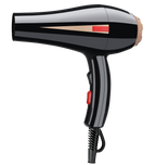Diamond Professional Dryer