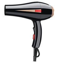 Diamond Professional Dryer