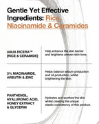 Anua Rice 7 + Hydrating Barrier Serum 50ml